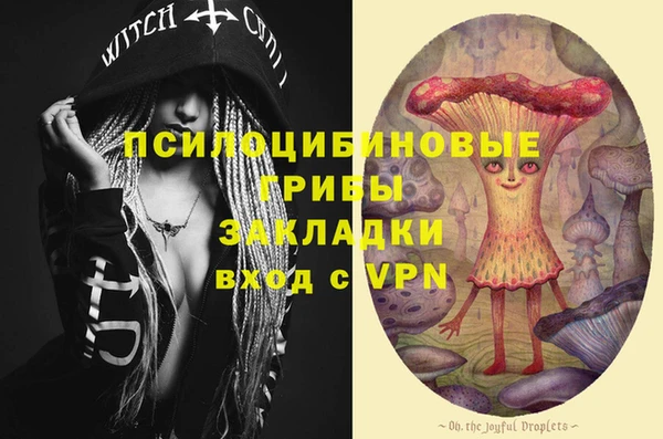 хмурый Вяземский
