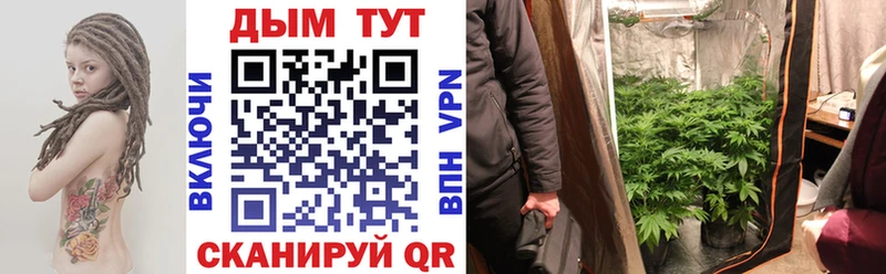 Каннабис гибрид  omg онион  Гвардейск 